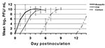 Thumbnail of West Nile virus viremia profiles in American Crows that were mosquito-exposed (n=8), orally exposed by ingestion of sparrow carcasses (n=5), or contact-exposed (n=4). A fifth contact-exposed crow developed an ephemeral low-titered viremia (102.2/mL serum) and was treated as an outlier in this analysis. Error bars show standard deviation of log10-transformed viremia titers.