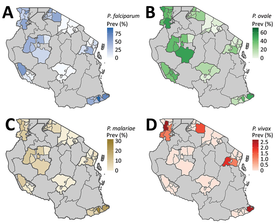Spatial distribution of regional and school council–level malaria prevalence by species in study of similar prevalence of Plasmodium falciparum and non–P. falciparum malaria infections among schoolchildren, Tanzania. A) P. falciparum; B) P. ovale; C) P. malariae; D) P. vivax.