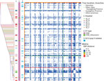Evolution and variation of SC11 inferred from core genome SNPs during rapid transmission and divergence of vancomycin-resistant Enterococcus faecium ST80, China. Graphs shows reconstructed tree from core genome SNPs (left) among all SC11 isolates (n = 235) using strain SZYSC_GYSVRE003 (GenBank accession no. GCA_037475005.1) as reference. Hospital sources of isolates from Shenzhen ST80 and its variant, and SC11-pop II isolates are indicated (1, 2, and 3) next to the tree. The heatmap (right) shows pairwise SNP distance matrix indicating diversity of SC11 lineage presented in the form of symmetry in the bottom left and top right. Cells in the heatmap are colored to show SNP distance in a graded gradient. Red lines indicate large SNP distances and correspond to SZYSC_23VRE019 in the tree. pop, population; SC, sequence cluster; SNP, single-nucleotide polymorphism; ST, sequence type.